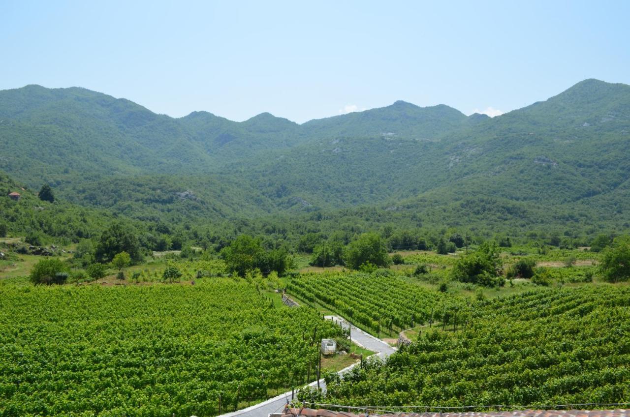 Markovic Winery And Estate Apartments سيتينيي المظهر الخارجي الصورة