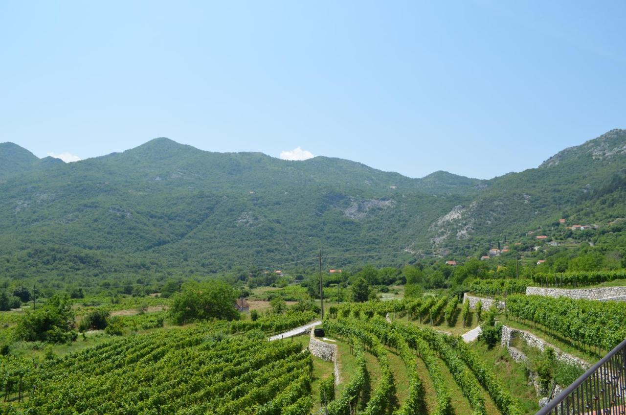 Markovic Winery And Estate Apartments سيتينيي المظهر الخارجي الصورة