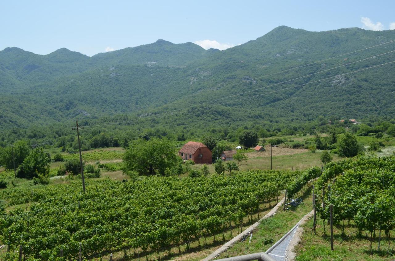 Markovic Winery And Estate Apartments سيتينيي المظهر الخارجي الصورة
